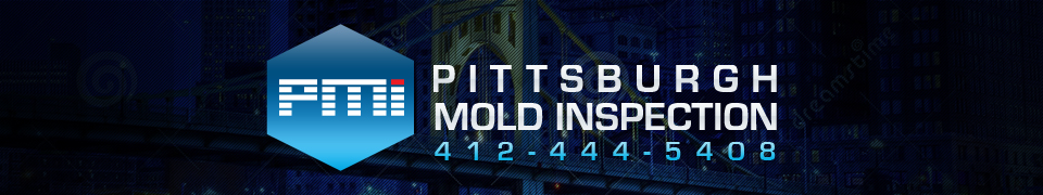 Pittsburgh Mold Inspection